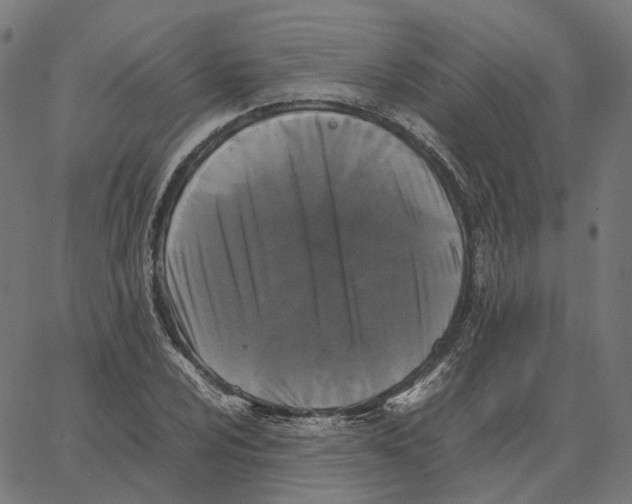 X0000067361024200604281720