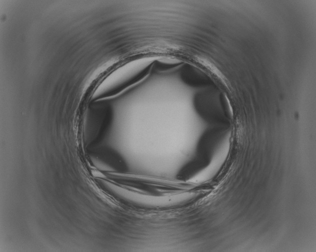 X0000067361026200604281720
