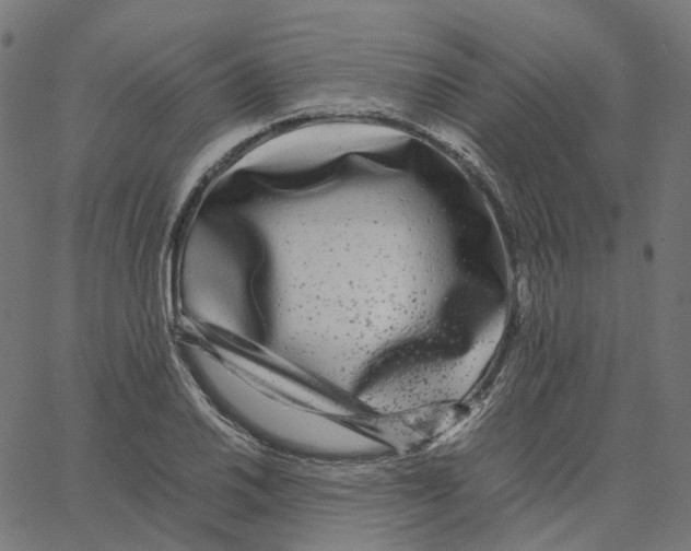 X0000067361030200604281720