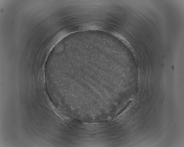 X0000067361031200604281720
