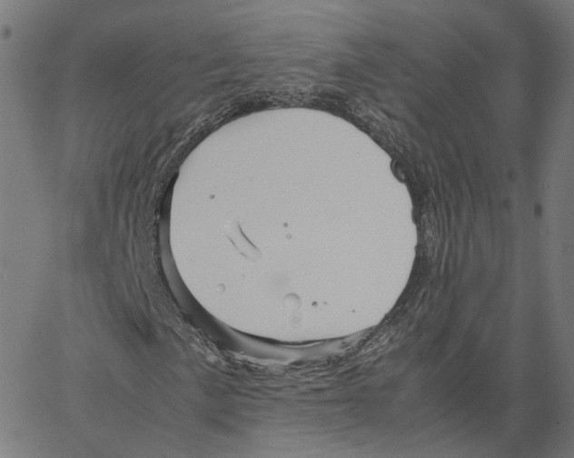 X0000067361057200604281719