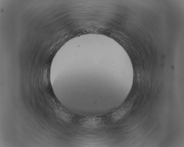 X0000067361060200604281719