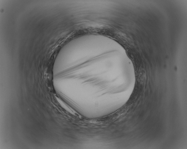 X0000067361061200604281719