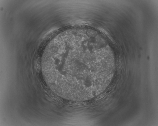 X0000067361063200604281719