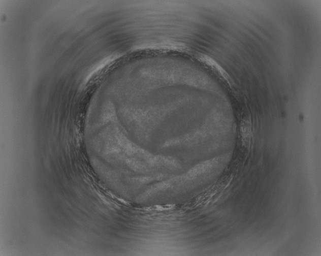 X0000067361064200604281719