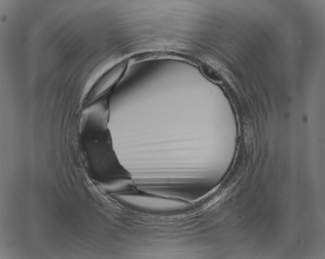 X0000067361069200604281719
