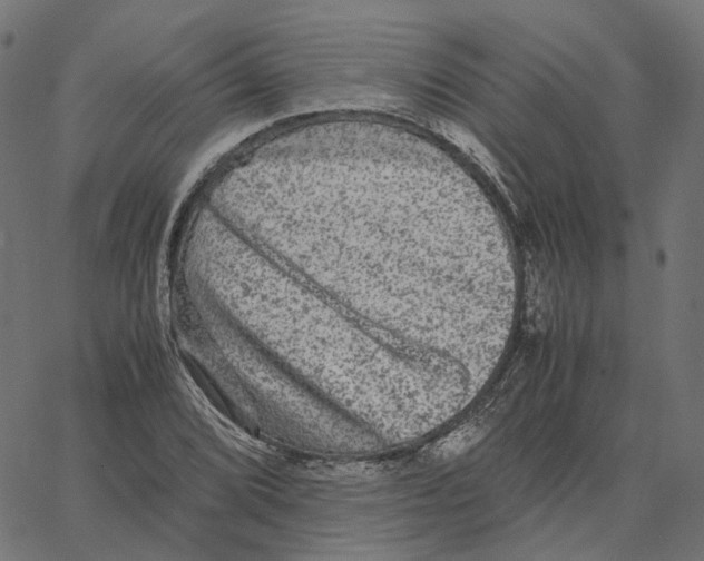 X0000067361072200604281719