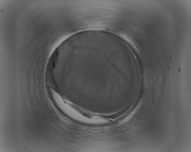 X0000067361077200604281719