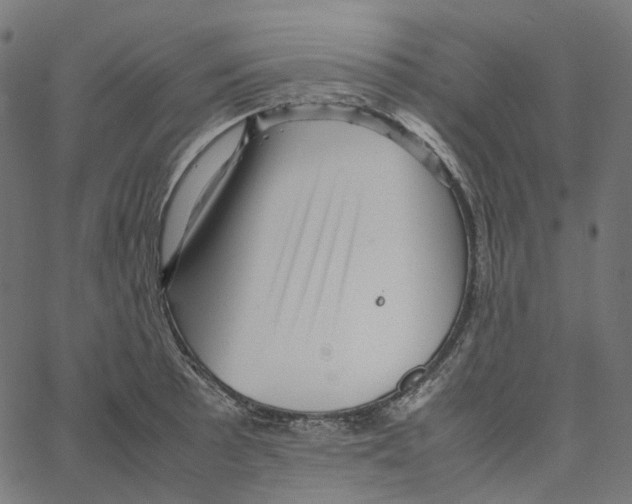X0000067361089200604281719