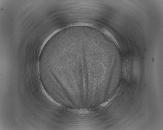 X0000067361092200604281719