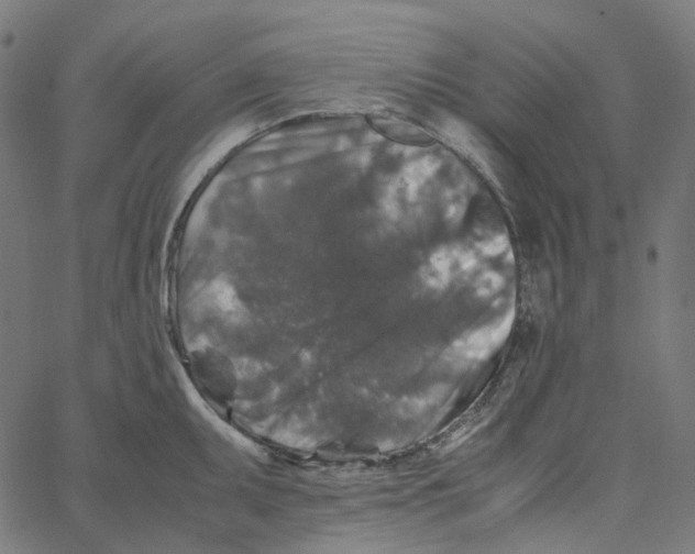 X0000067361095200604281719