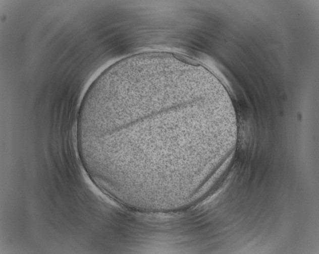 X0000067361100200604281719