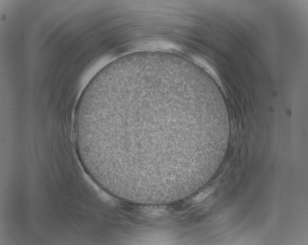 X0000067361103200604281719