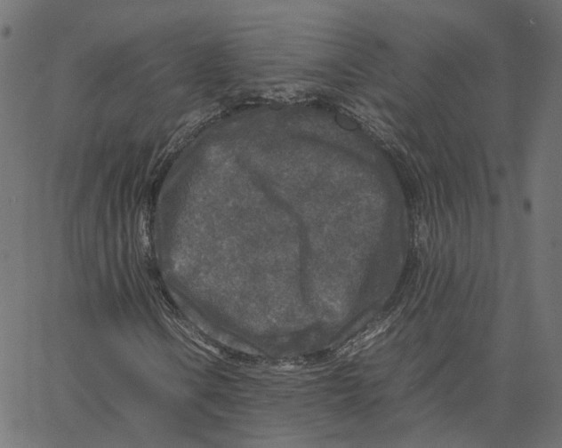 X0000067361106200604281718