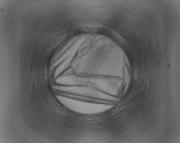 X0000067361108200604281718