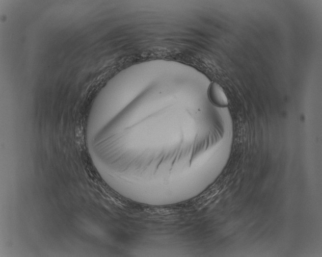 X0000067361109200604281718
