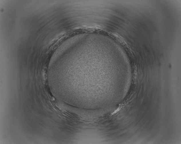 X0000067361110200604281718