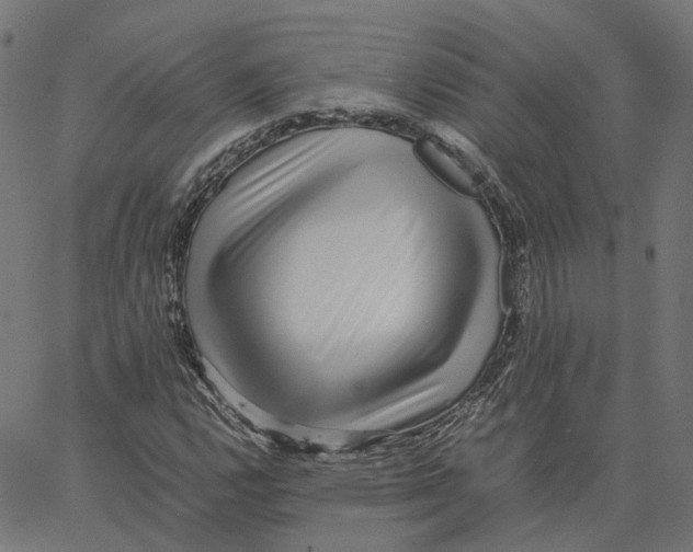 X0000067361112200604281718