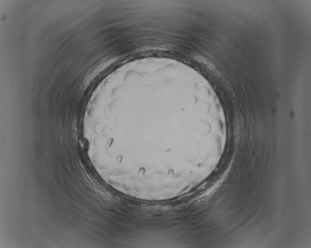 X0000067361113200604281718