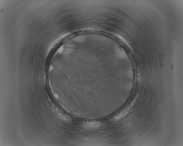 X0000067361117200604281718