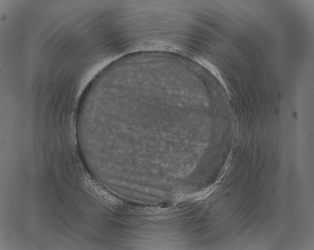 X0000067361120200604281718