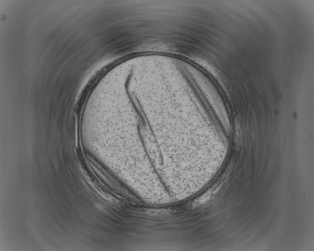 X0000067361123200604281718