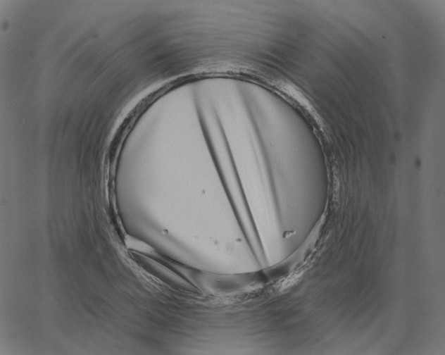 X0000067361124200604281718