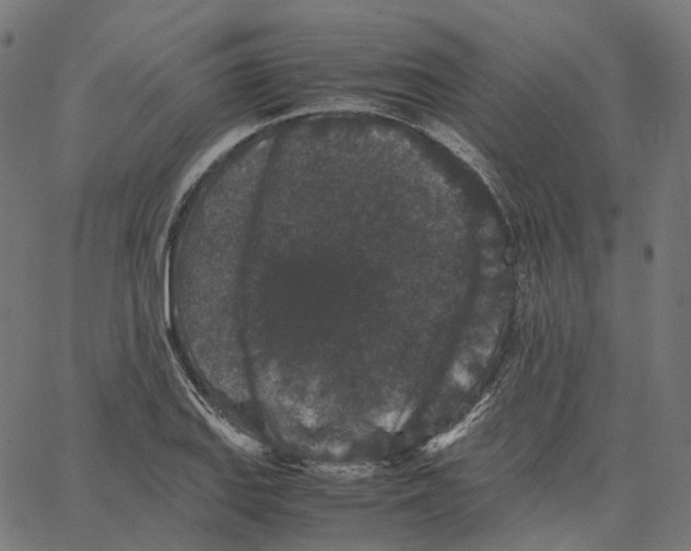 X0000067361127200604281718