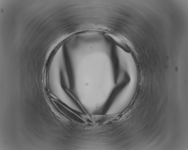 X0000067361128200604281718