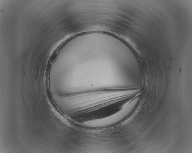 X0000067361134200604281718