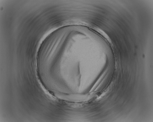 X0000067361144200604281719