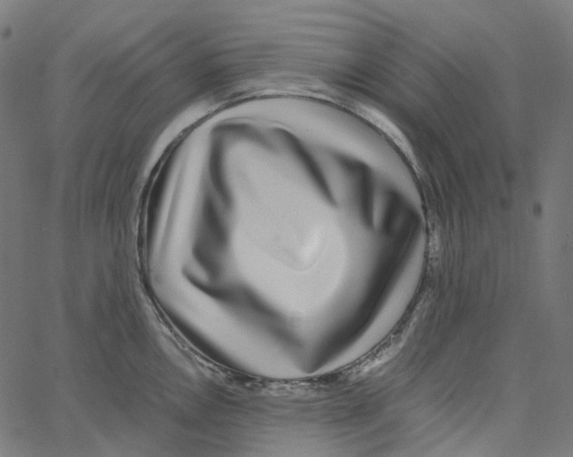 X0000067361146200604281719