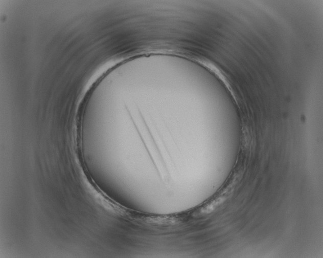 X0000067361147200604281719