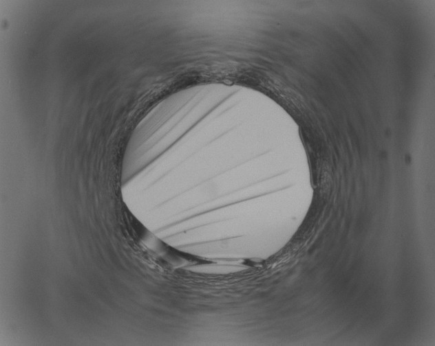 X0000067361153200604281718