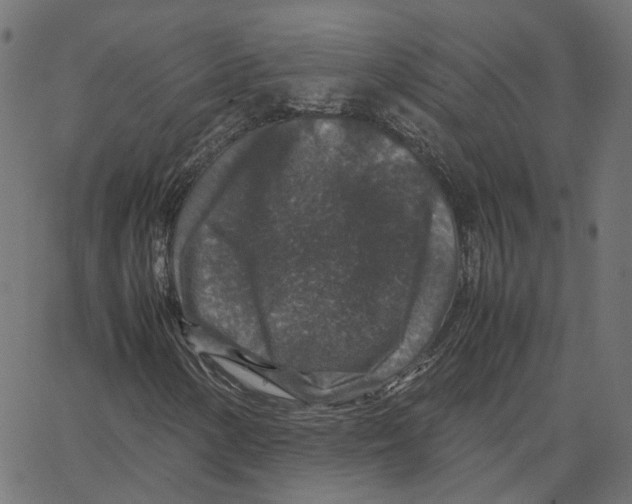 X0000067361154200604281718