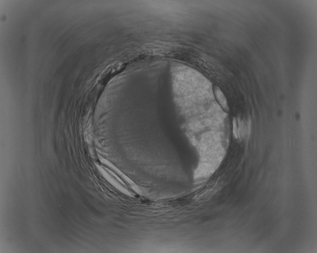 X0000067361155200604281718