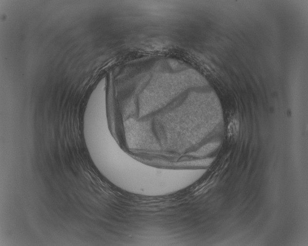 X0000067361156200604281718