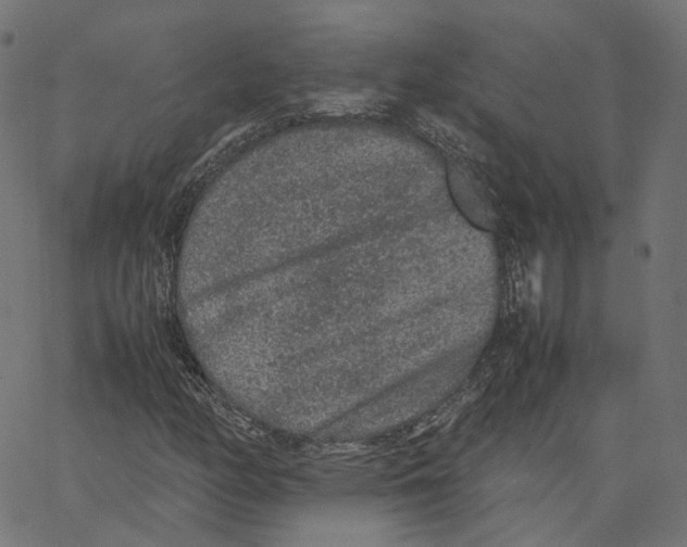 X0000067361158200604281718