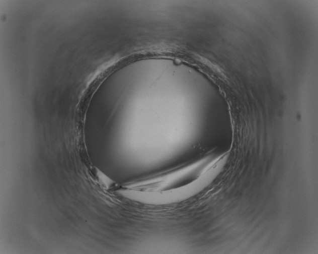 X0000067361160200604281718