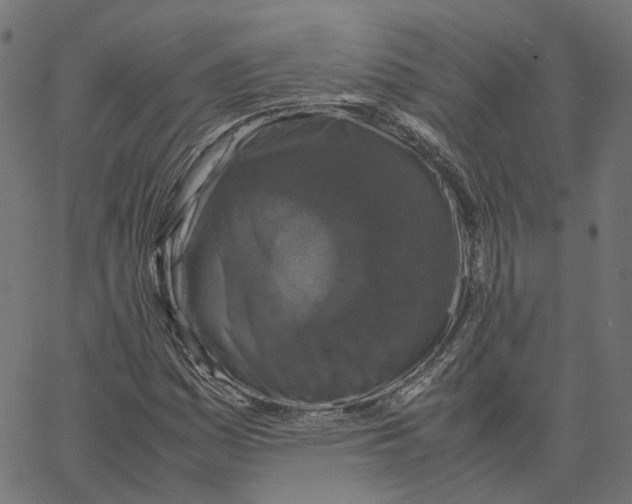 X0000067361161200604281718