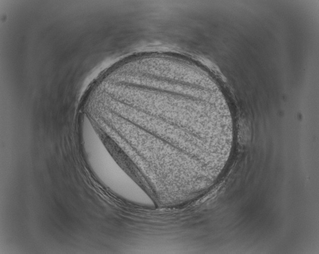X0000067361167200604281717