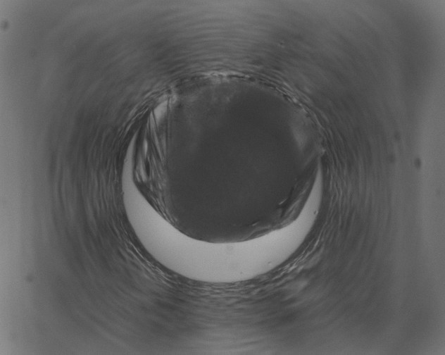 X0000067361202200604281716