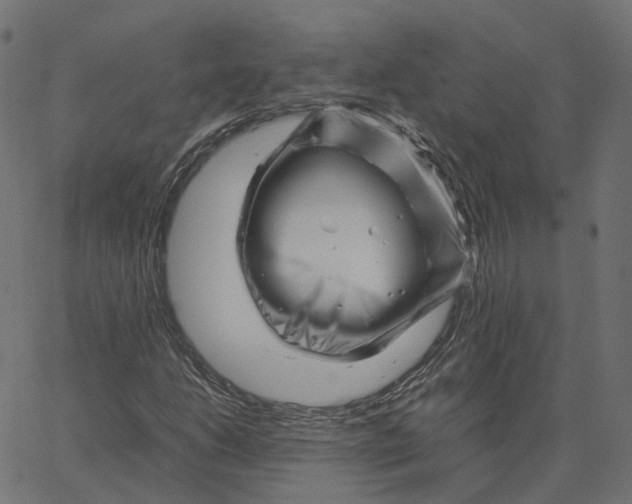 X0000067361206200604281716