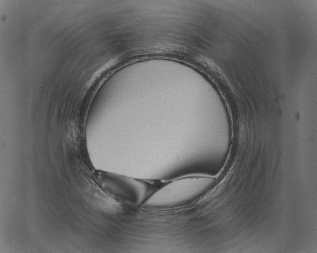 X0000067361210200604281716