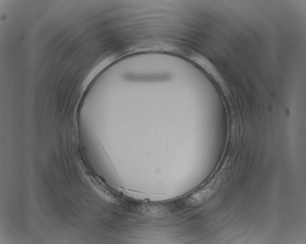 X0000067361242200604281717