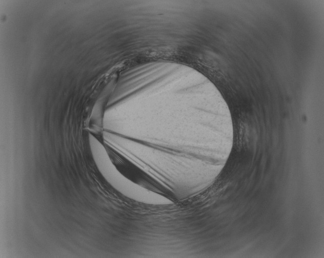 X0000067361250200604281716