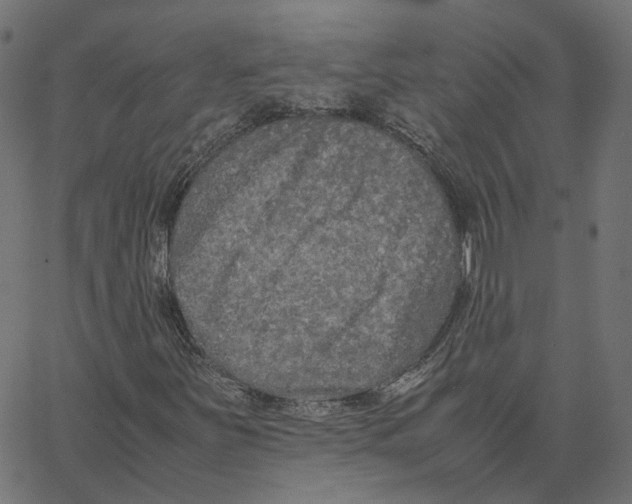 X0000067361251200604281716