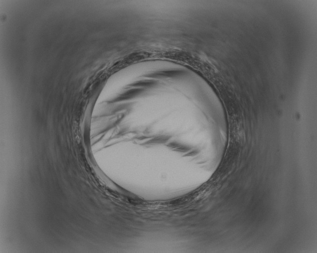 X0000067361253200604281716