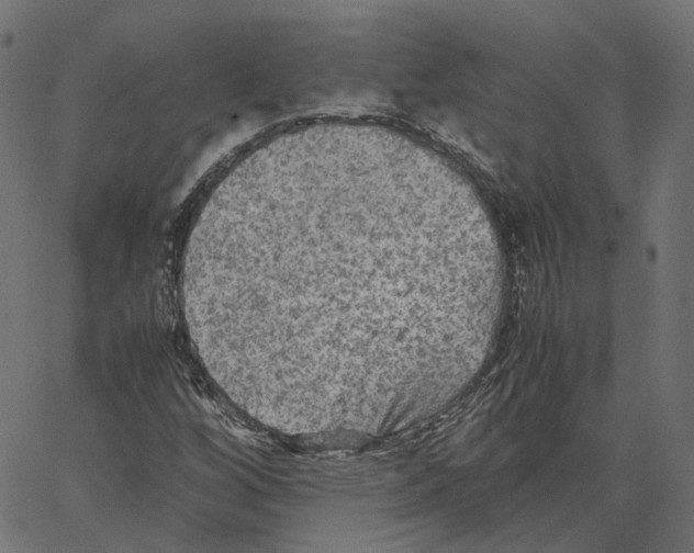 X0000067361256200604281716