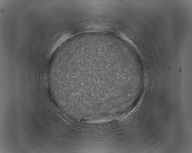 X0000067361259200604281716